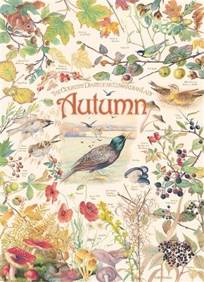Country Diary: Autumn