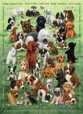 Puppy Love (Family)