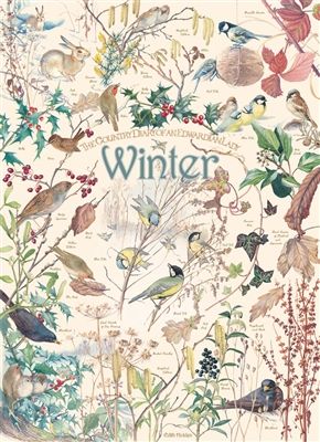 Country Diary: Winter
