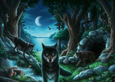 The Curse of the Wolves