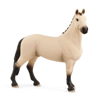 Hannoverian Gelding, red dun