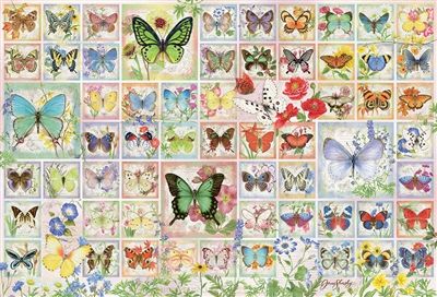 Butterflies and Blossoms