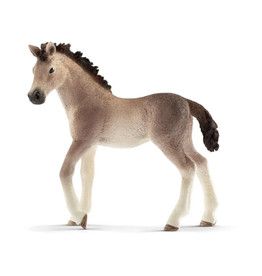 Schleich Criollo Definitivo Foal