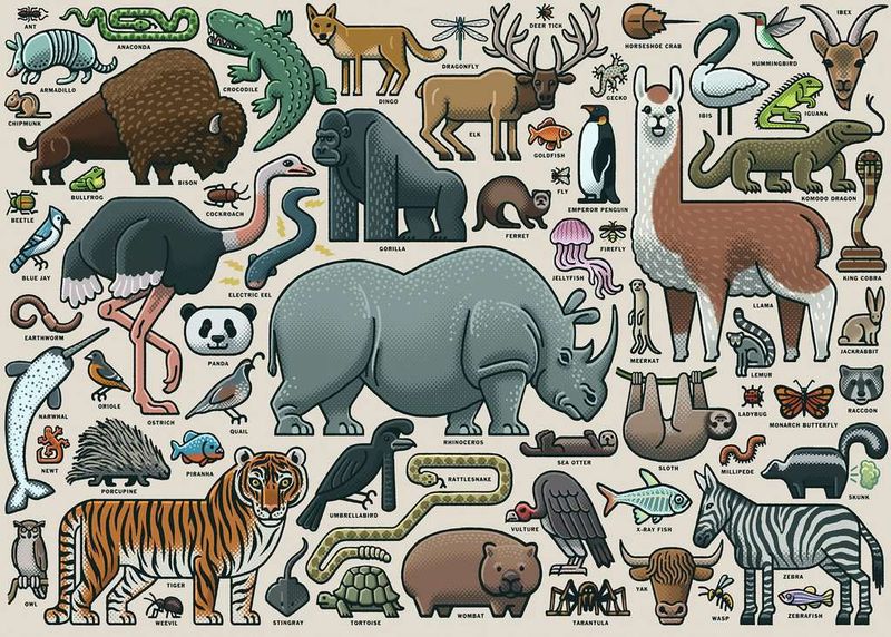 Ravensburger 1000 PCS You Wild Animal