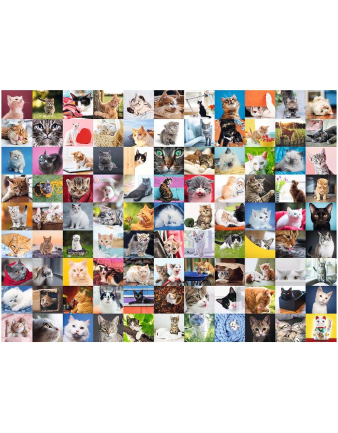 Ravensburger 1500Pcs 99 Cats