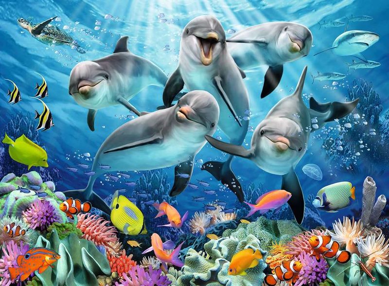 Ravensburger 500PCS Dolphins in the Coral Reef