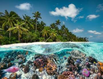 Ravensburger 2000PCS A Dive in the Maldives