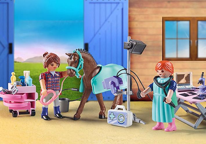Horse Veterinarian