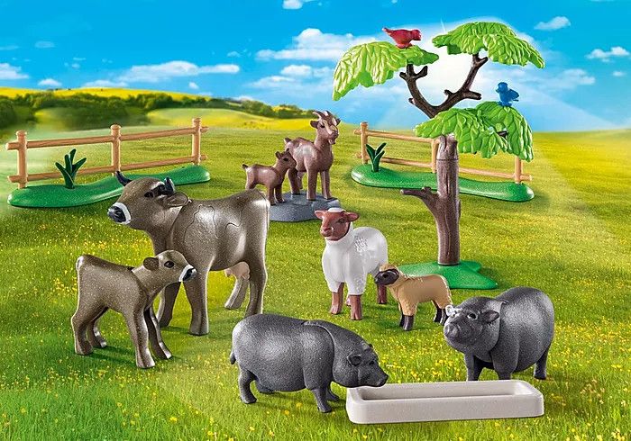 Animal Enclosure