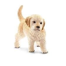 Golden Retreiver, puppy
