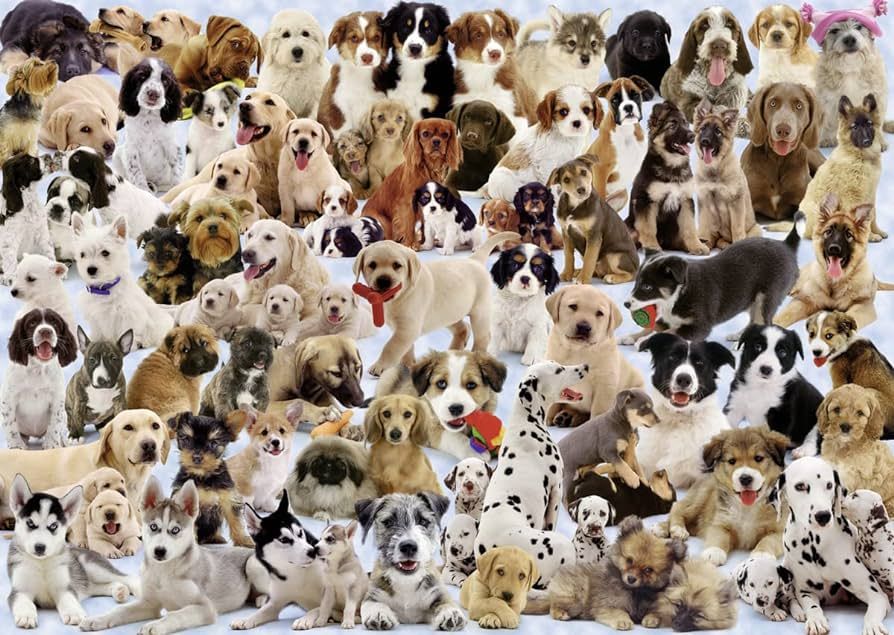 Ravensburger 1000PCS Dogs Galore!