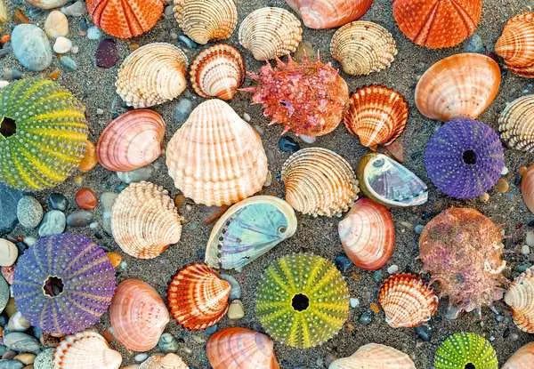 Ravensburger 300PCS Puzzle Moment By The Seashore