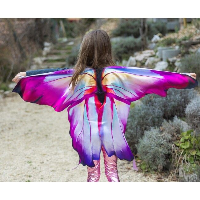 Ombre Butterfly Soft Wings