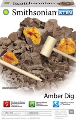 Smithsonian Amber Dig
