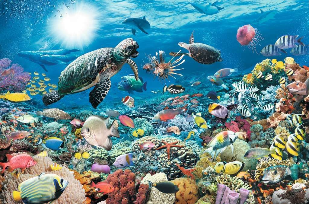 Ravensburger 5000PCS Underwater Tranquility