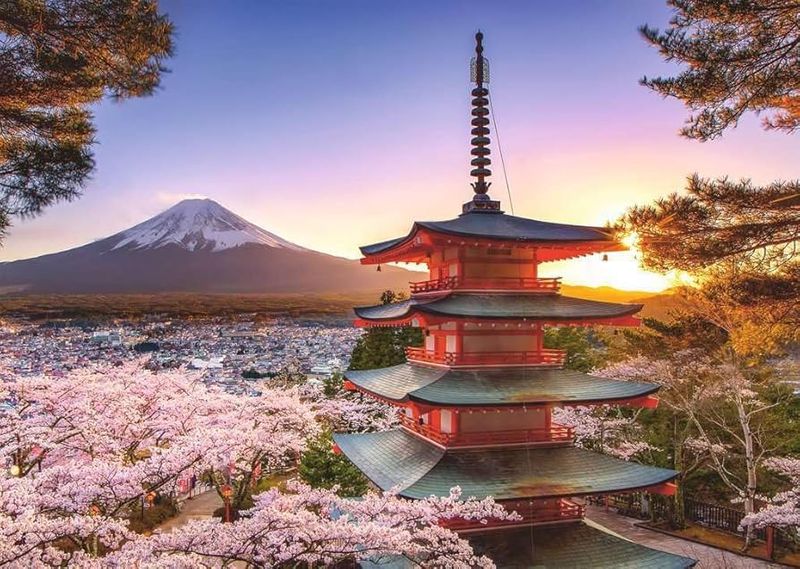 Ravensburger 1000 PCS  Mount Fuji Cherry Blossom View