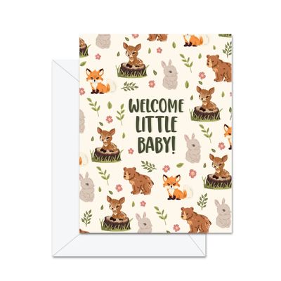 Welcome Little Baby!