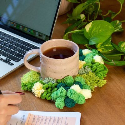 GREEN OASIS Moss Coaster Kit