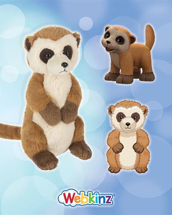 Webkinz Meercat