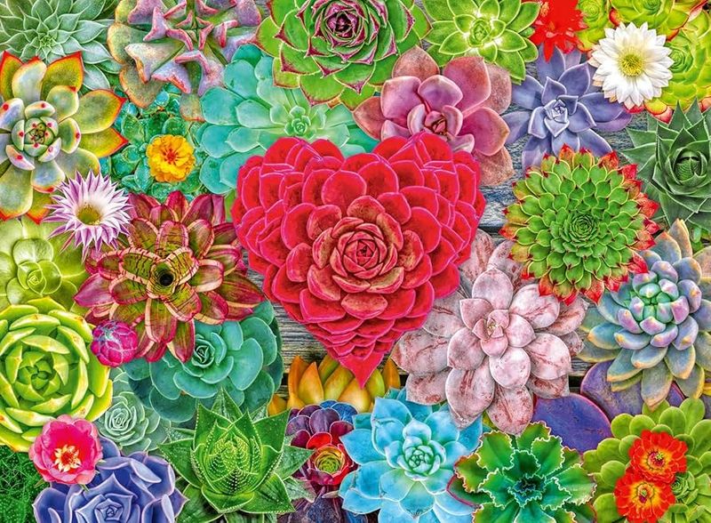 Ravensburger 500 PCS Succulent Love