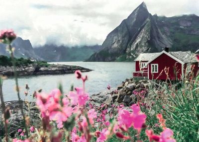 Ravensburger 1000 PCS  Lofoten, Norway