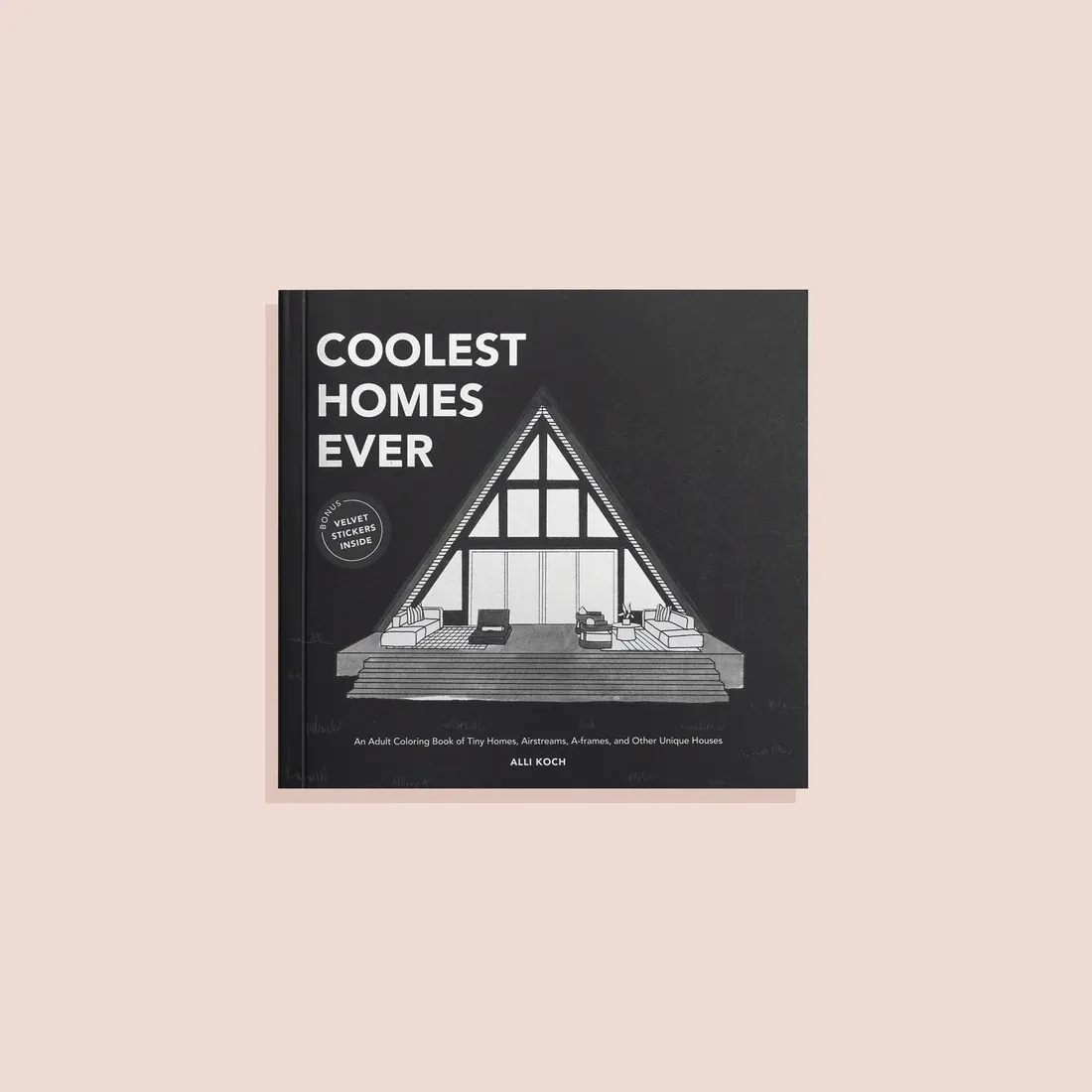 COOLEST HOMES EVER (MINI)