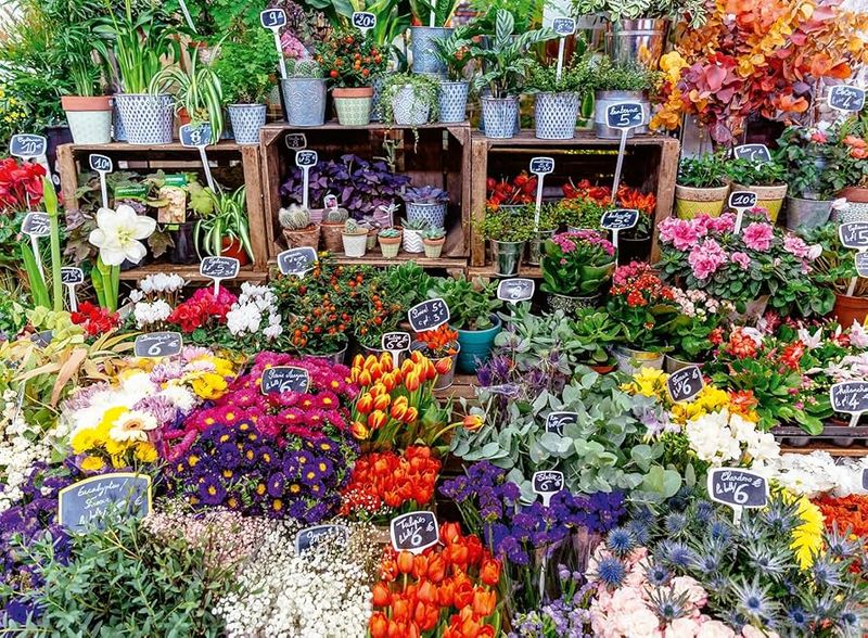 Flower Market, France 500 Pc Puzzle