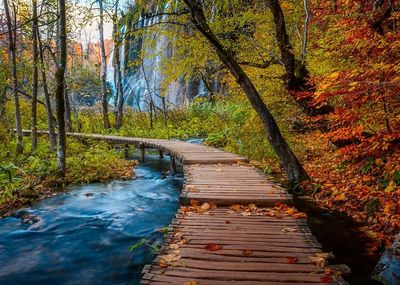 Autumnal Wooden Trail 1000 Pc Puzzle
