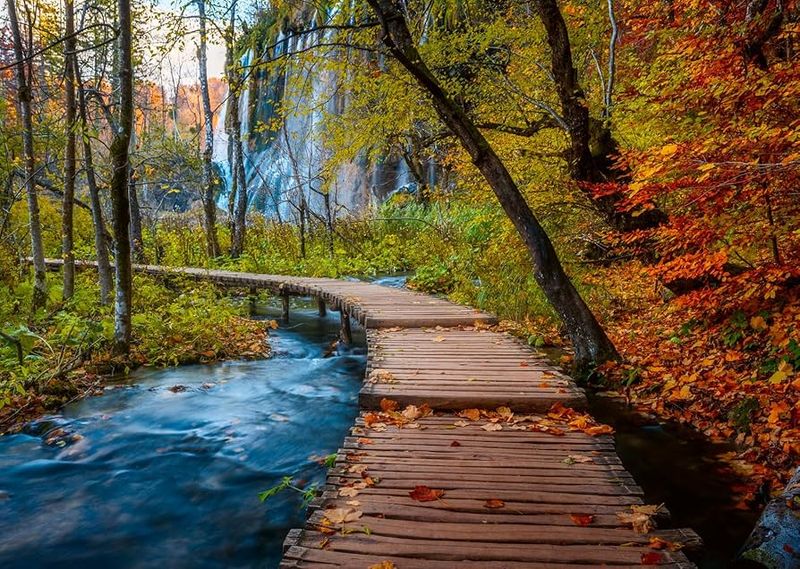 Autumnal Wooden Trail 1000 Pc Puzzle