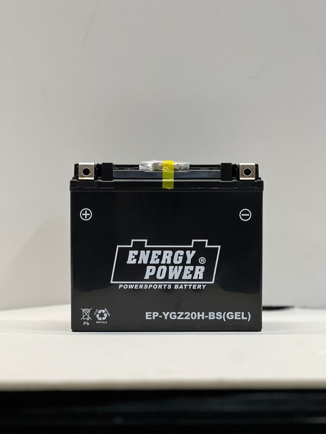 EP-YGZ20H-BS EnergyPower 310CCA