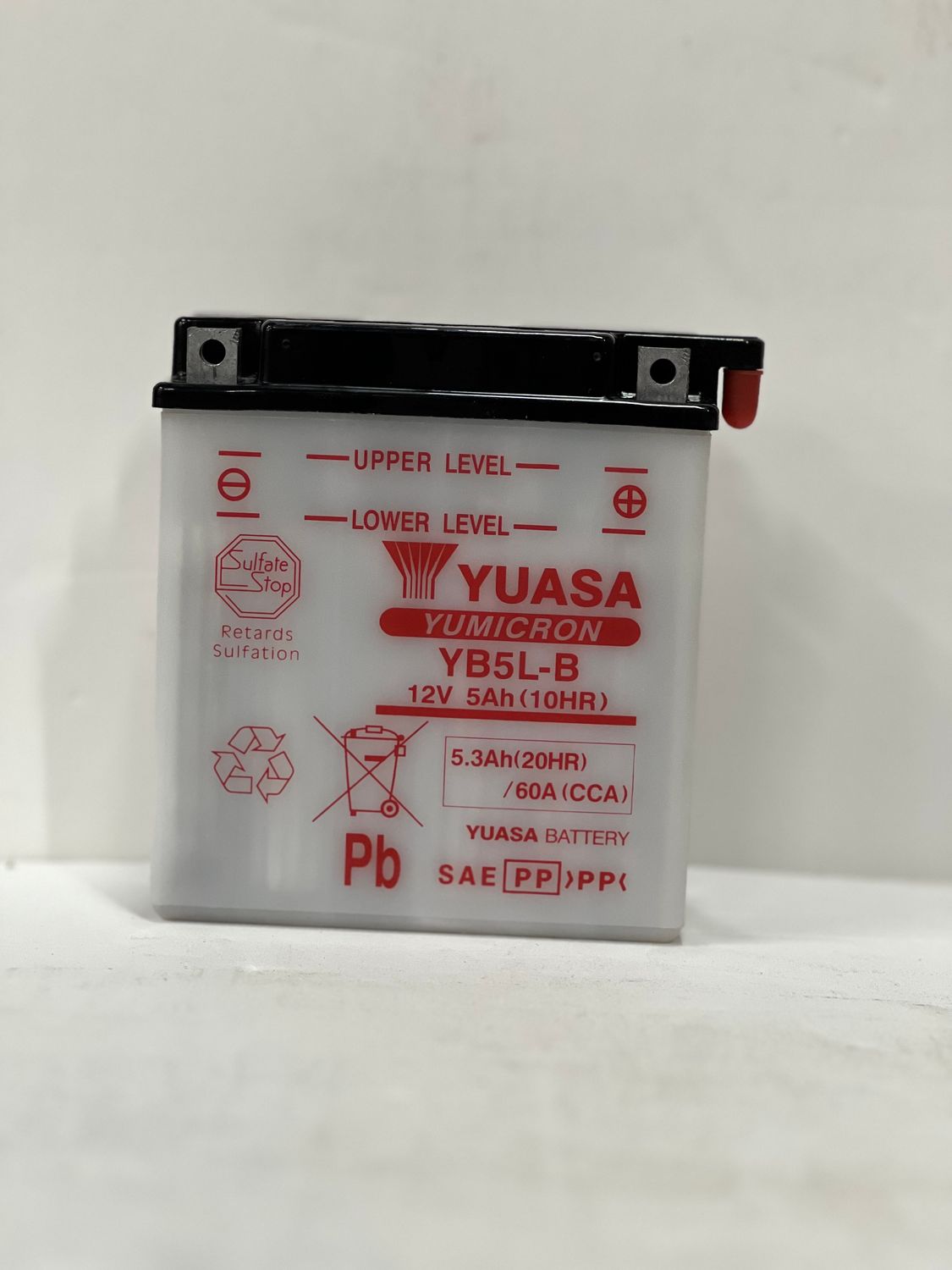 YB5L-B MotoCross 65CCA