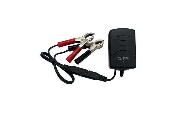 PSC-12100000ACX SLA Charger 12V