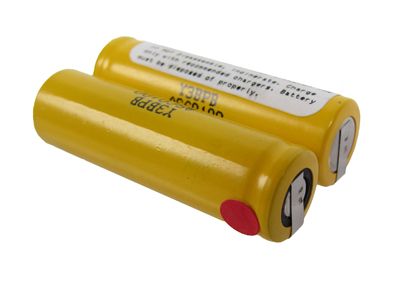 NIC0200 - 2.4V 800mAh NiCd