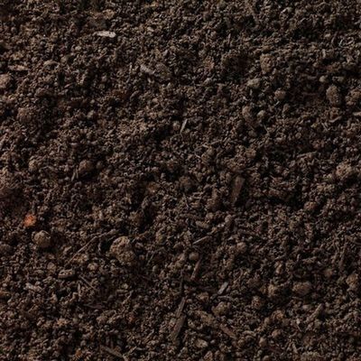 Compost