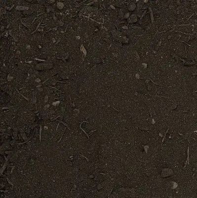 Garden Soil 50/50