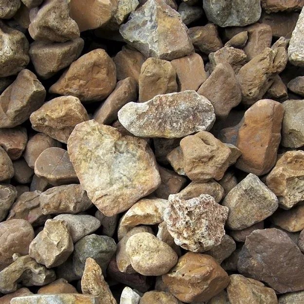 Walnut Nugget