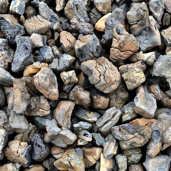 Stonebark