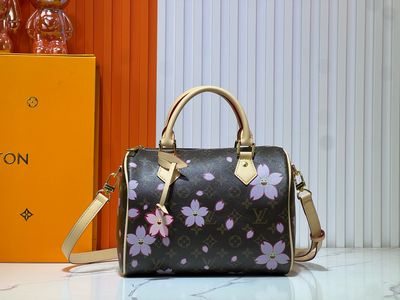 Louis Vuitton women bag LEA28
