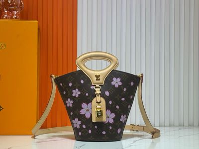 Louis Vuitton women bag LED02