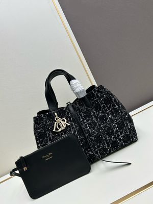 Dior women bag DOG01