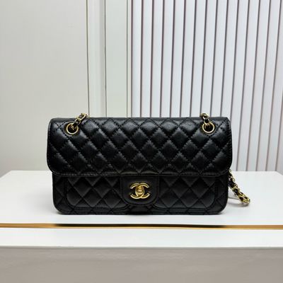 Chanel women bag CAG11