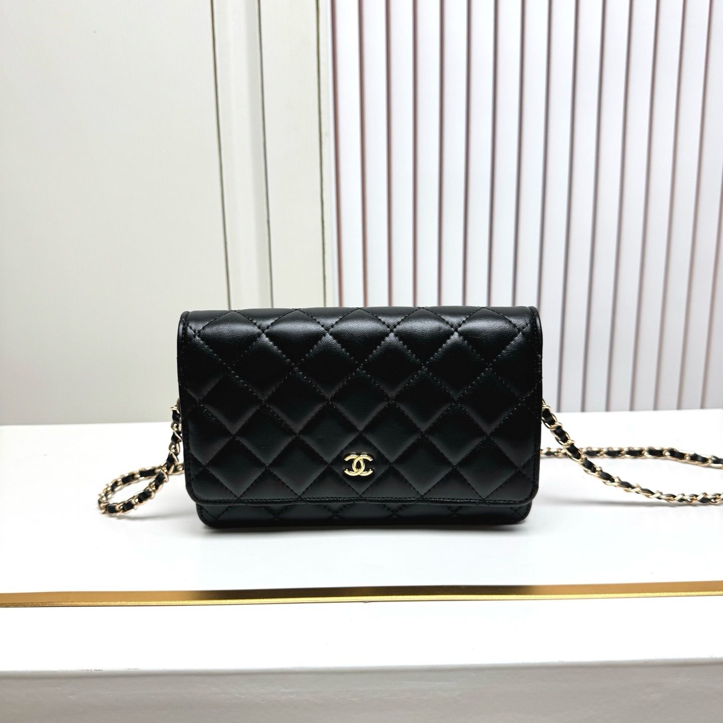 Chanel women bag CAI04
