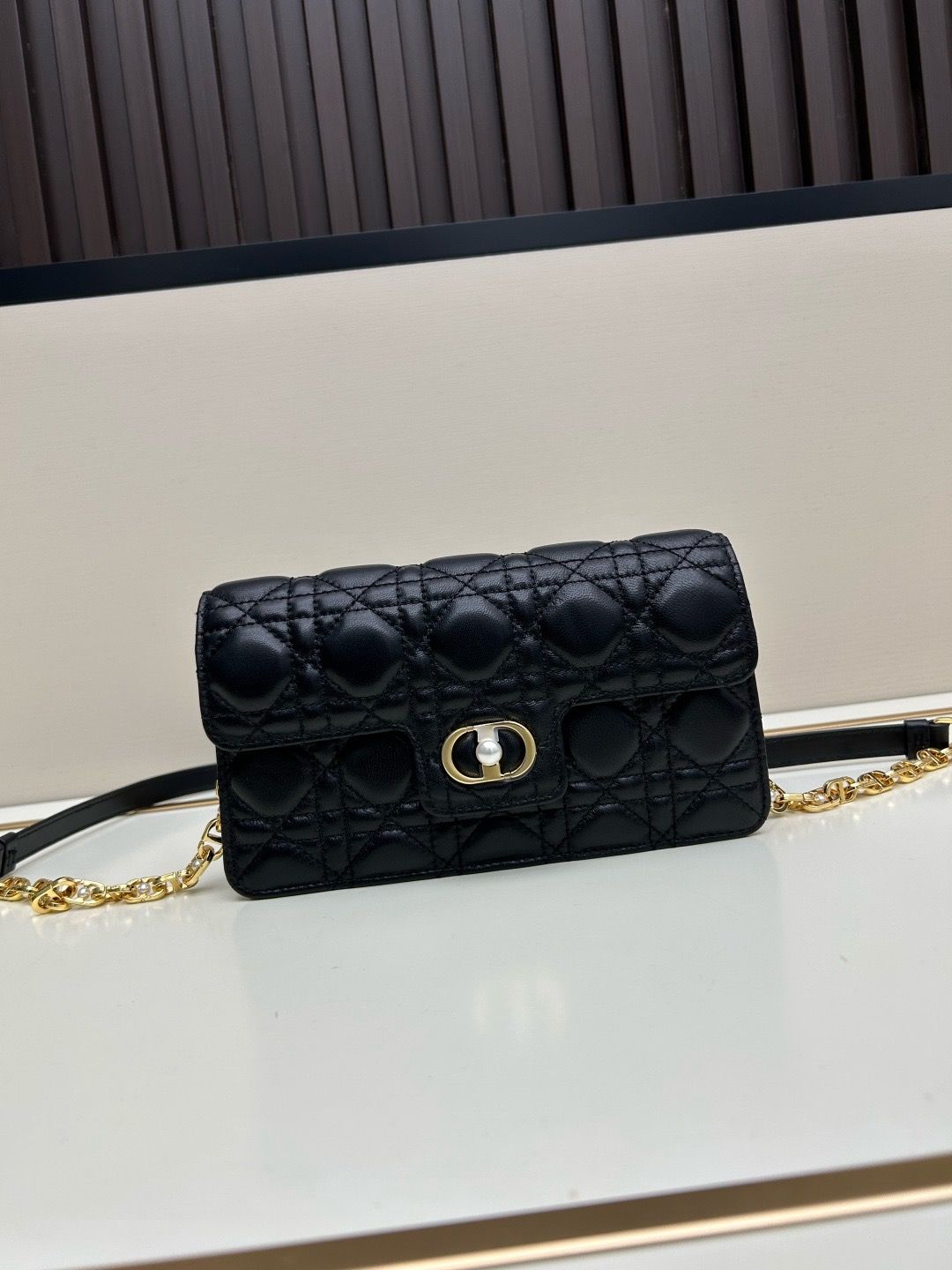 Dior women bag DOJ03