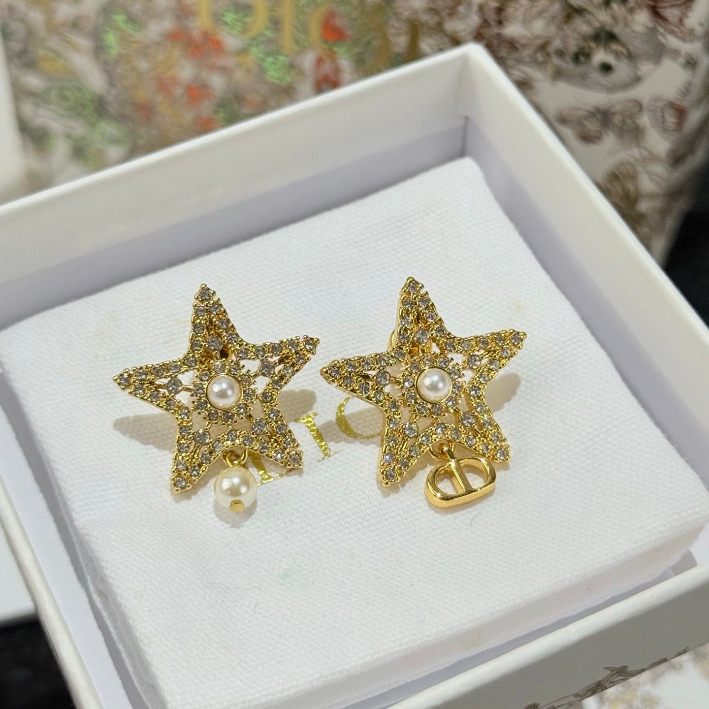 Dior women earrings NEDK01