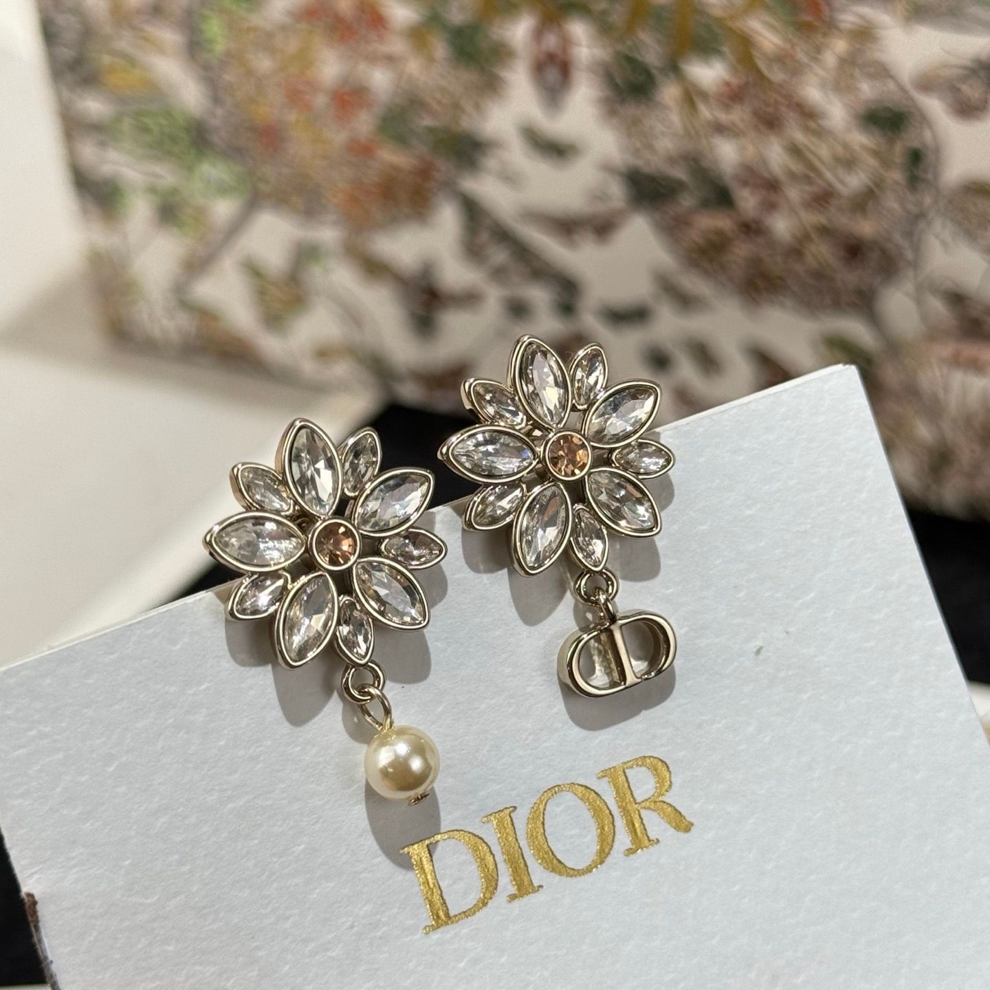 Dior women earrings NEDK02