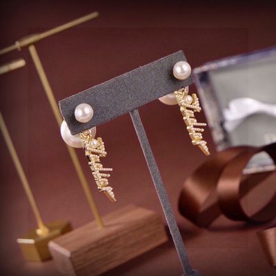 Dior women earrings NEDK07