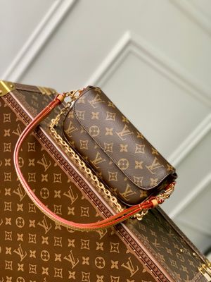 Louis Vuitton women bag LFA21