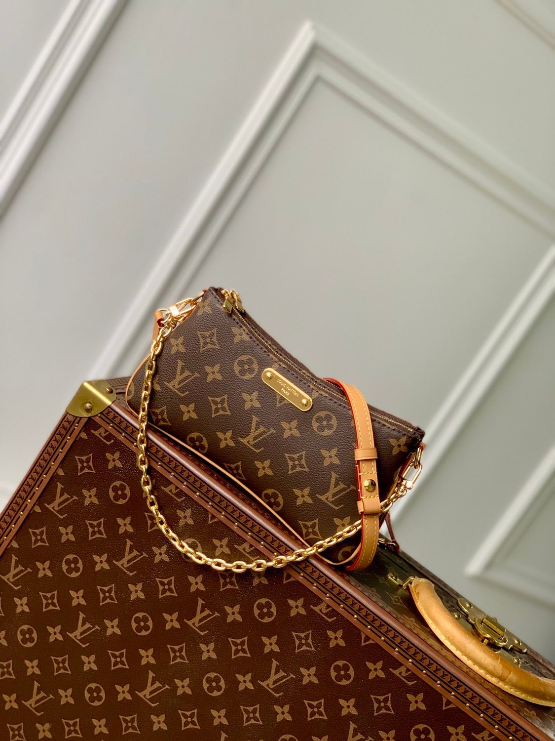 Louis Vuitton women bag LFA23