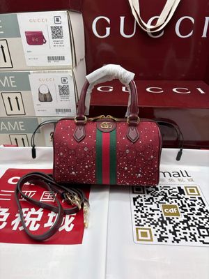 Gucci women bag GFA01