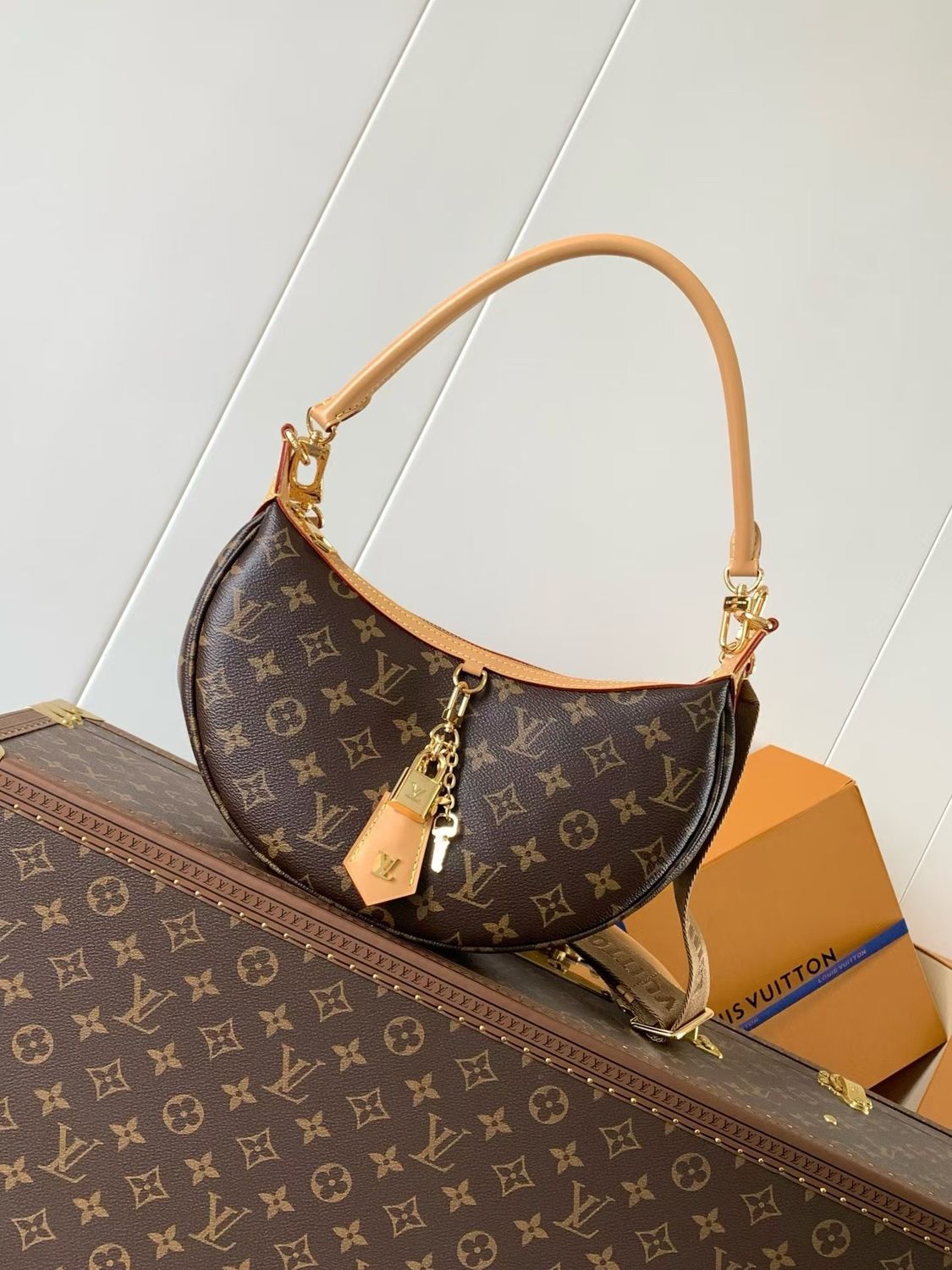 Louis Vuitton women bag LFA24